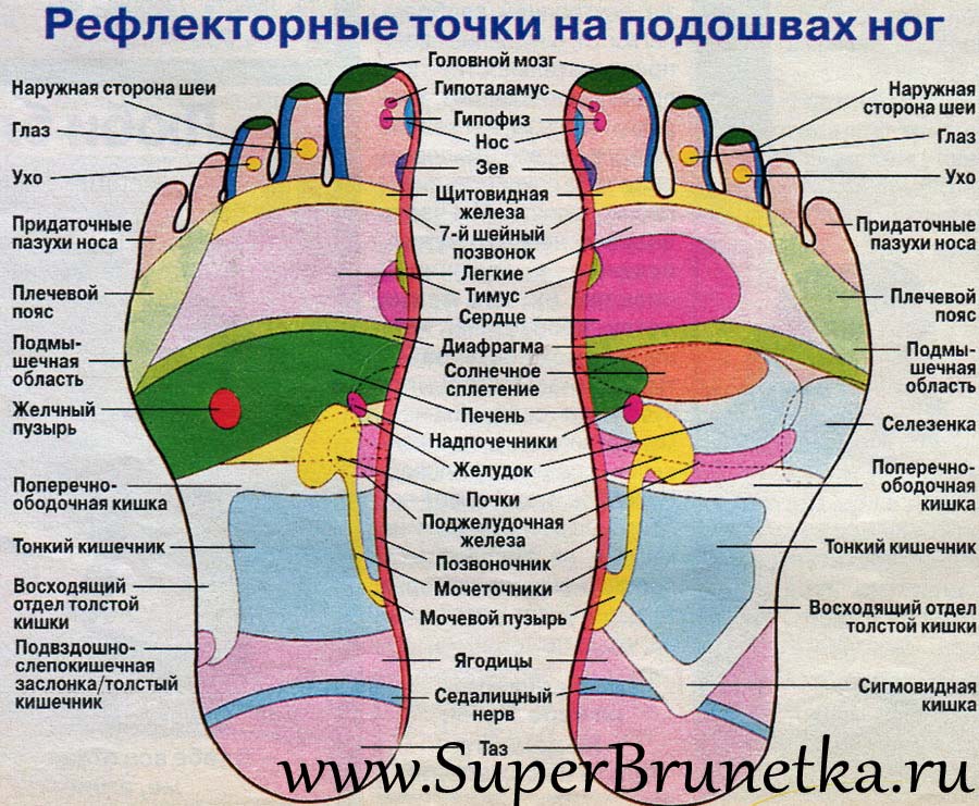 Где точка джи у женщин фото