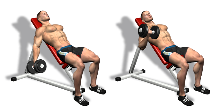 Подъем гантелями поочередно. Incline Bench Dumbbell Curl. Подъем гантелей на бицепс на наклонной скамье. Гантели на бицепс на наклонной скамье. Бицепс на наклонной скамье с гантелями.