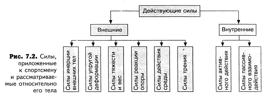 Какие силы внешние какие внутренние. Внешние и внутренние силы физика. Внутренние и внешние силы в биомеханике. Внутренние и внешние силы в физике. Классификация сил.