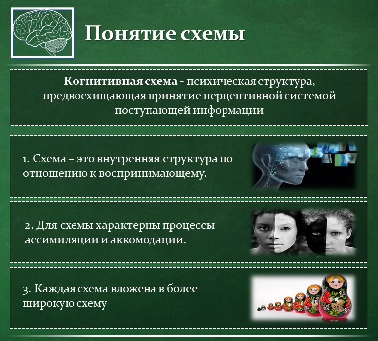 Функции когнитивных схем