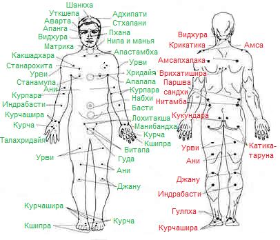 Пятая точка у человека что это такое фото