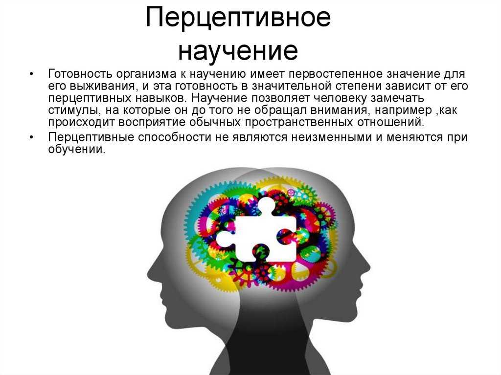 Перцепция картинки для презентации