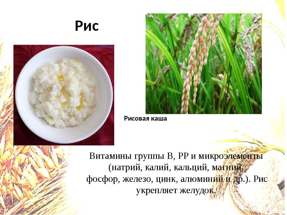 Рис в какой воде. Витамины в рисовой крупе. Витамины в рисовой каше. Проект о рисовой крупе. Растение рисовой крупы.