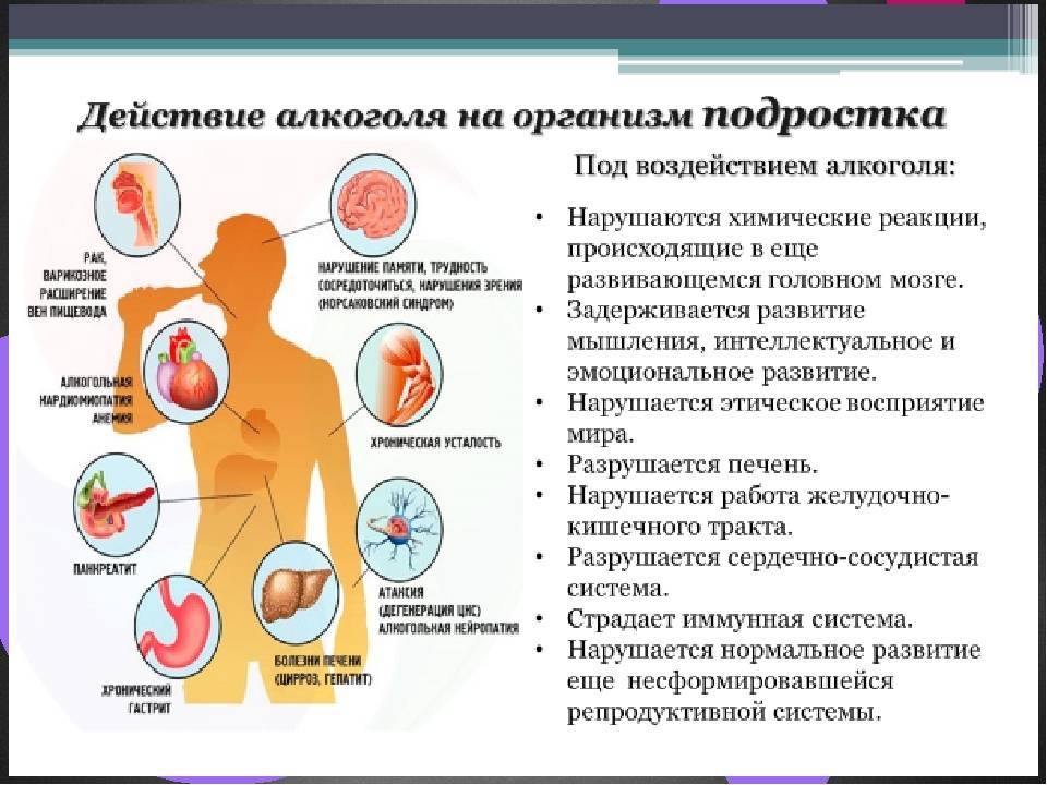 Влияние алкоголя на организм человека презентация