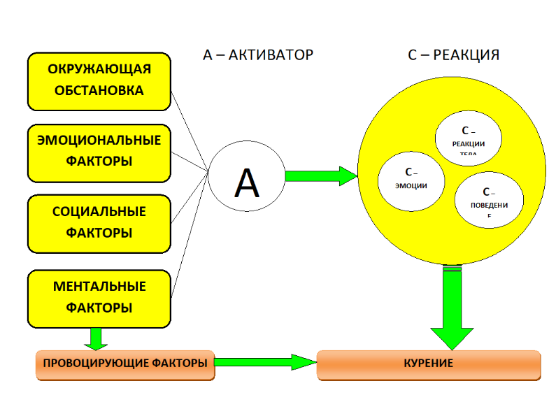 Когнитивная карта это в психологии