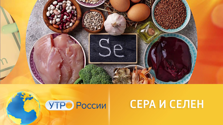 Селен в каких продуктах содержится больше. Сера и селен. В каких продуктах много серы.