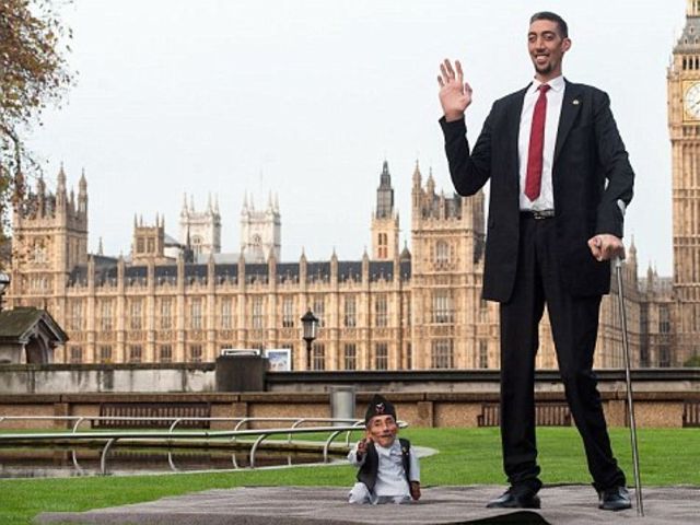 Название высоких людей. Самый высокий человек в мире. Самый высокий человек в мире сейчас. Самый высокий человек в Москве.