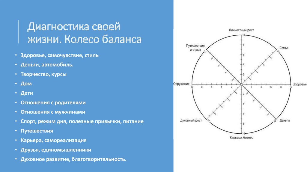 Проект сферы жизни человека