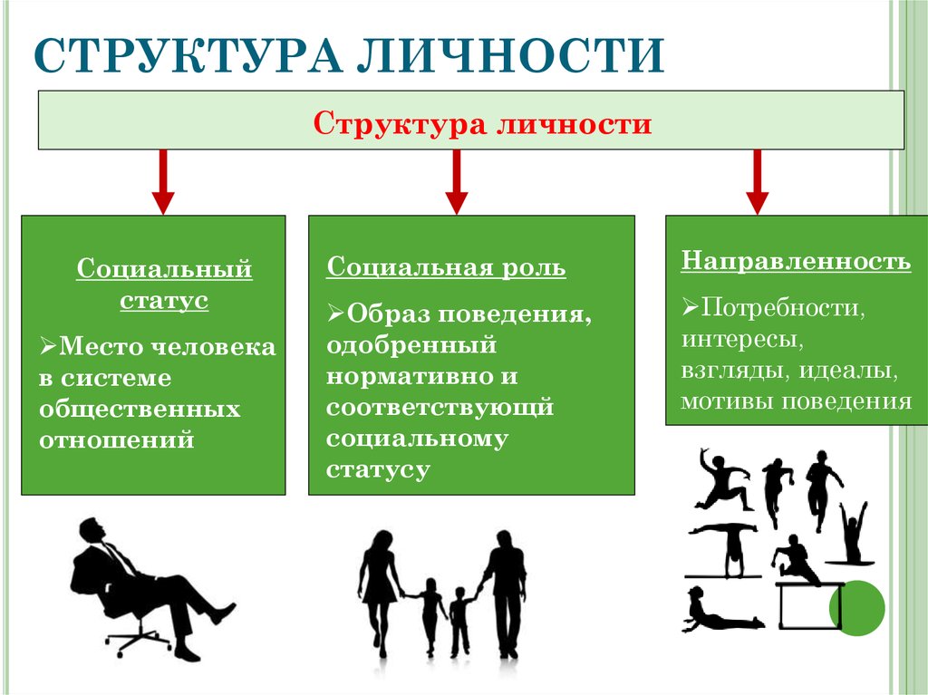 План социальный статус и социальная роль обществознание егэ