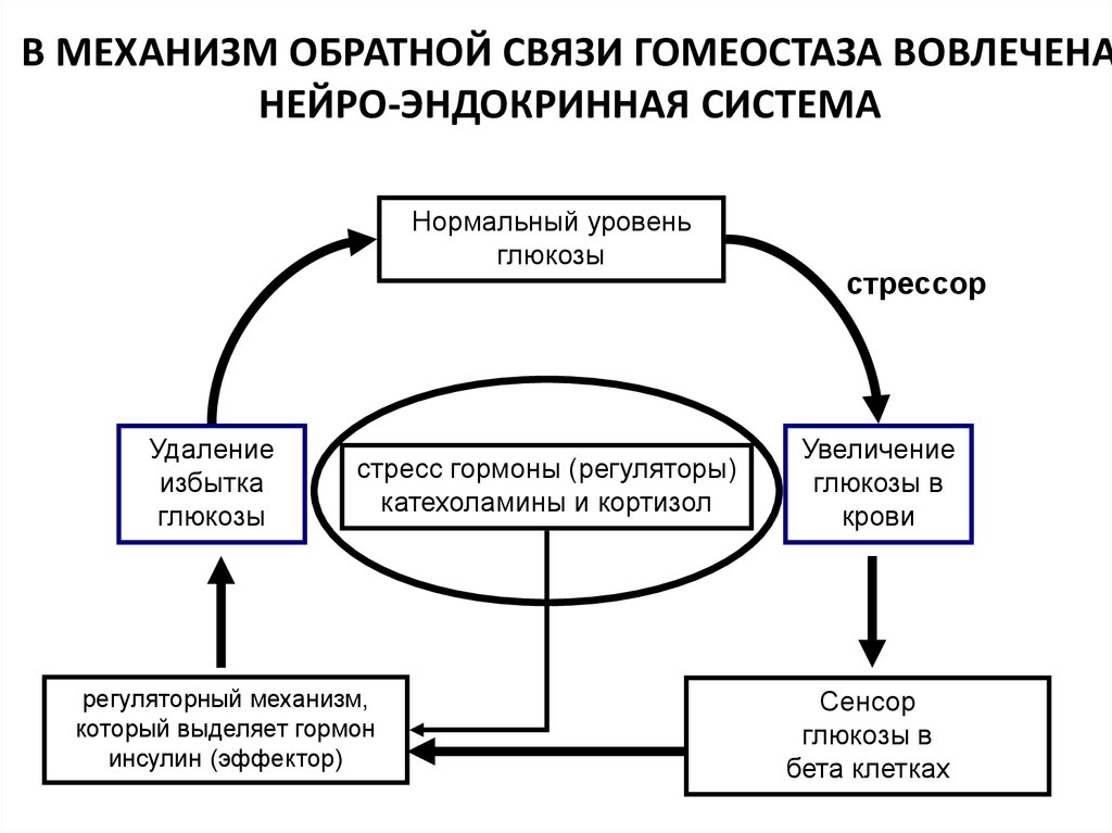 Схема механизма обратной связи