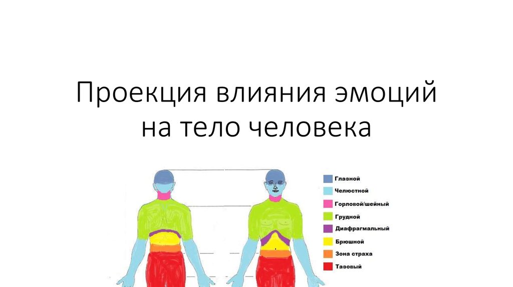 Карта чувств и эмоций человека