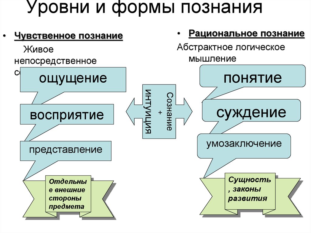 Этапы знаний