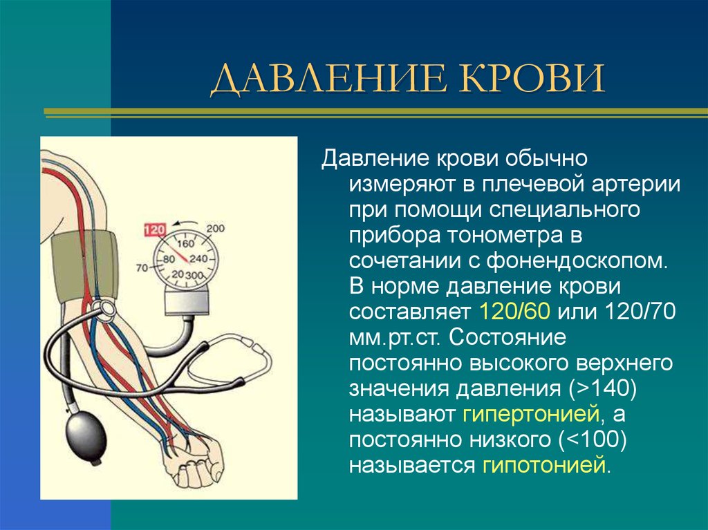 Методы измерения артериального давления проект по физике 10 класс