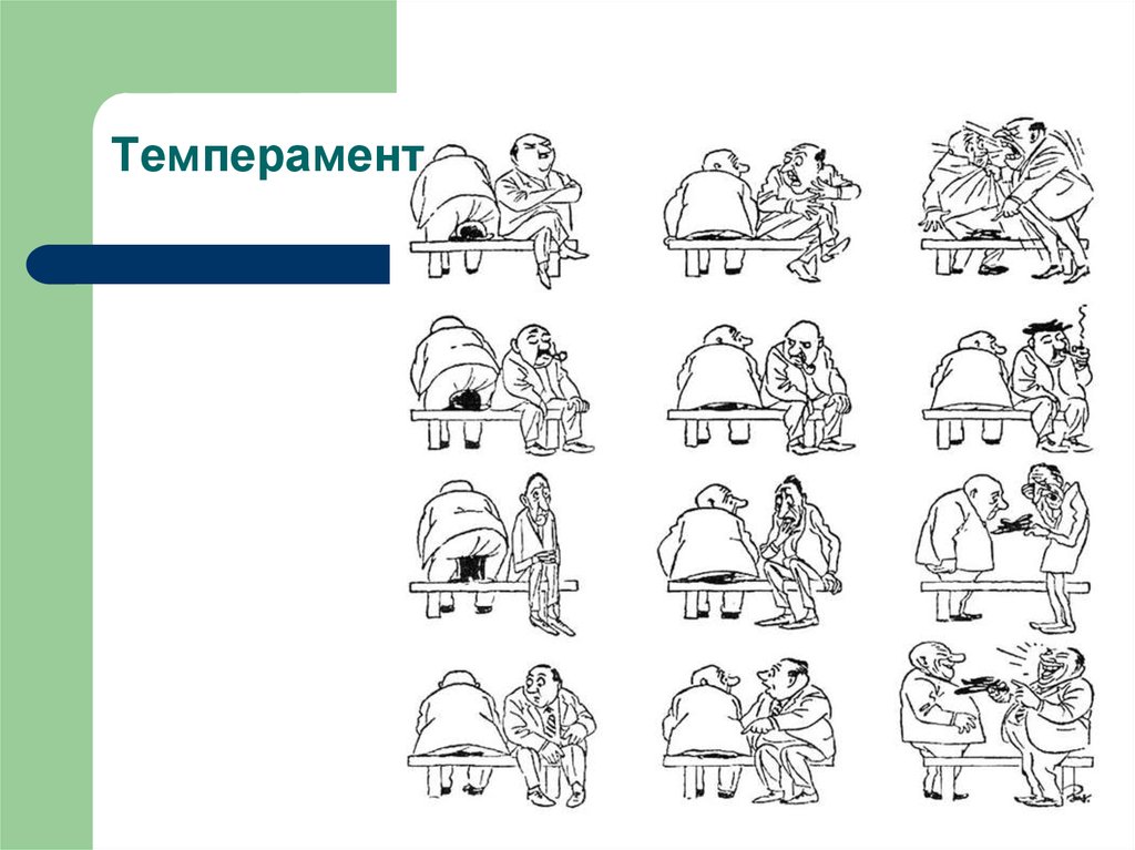 Тип темперамента и профессия презентация