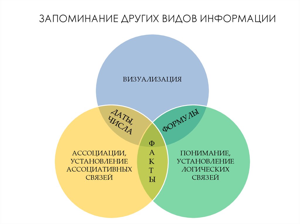 Запоминание информации человеком. Способы запоминания информации. Примеры запоминания информации. Ассоциации для запоминания. Ассоциативное запоминание.