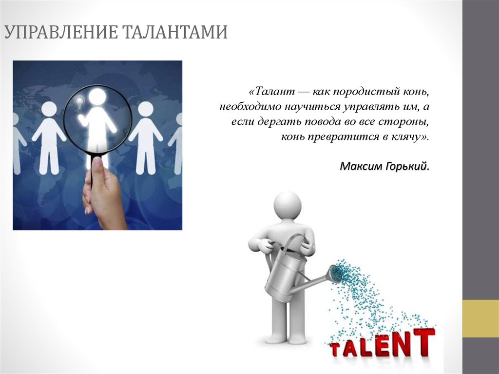 Талант что это. Управление талантами. Развитие талантов. Управление талантами в организации. Таланты в организации.