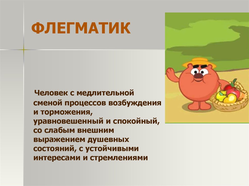 Кто такой флегматик кратко и понятно