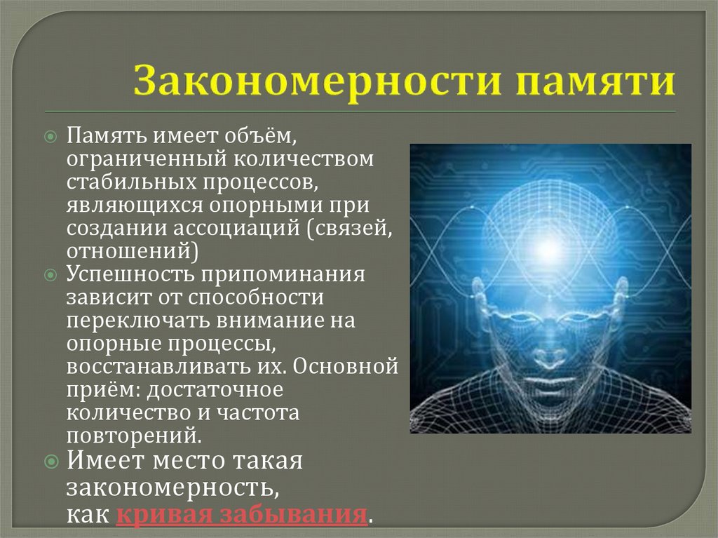 Процессы памяти человека. Закономерности памяти. Психология тема память. Закономерности человеческой памяти. Процессы памяти запоминание.