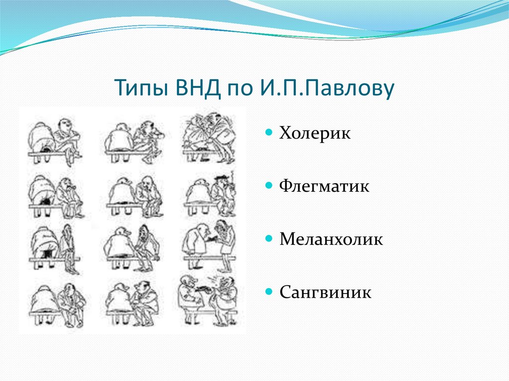 Картинка холерик флегматик меланхолик сангвиник