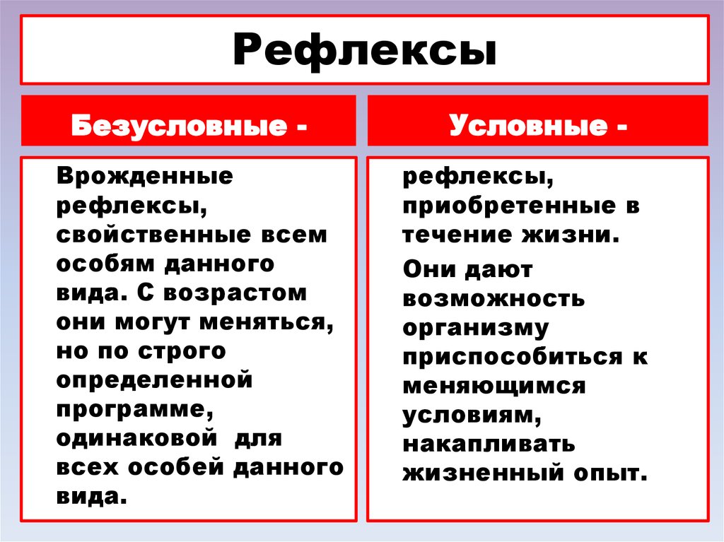 Примеры условных и безусловных рефлексов у млекопитающих