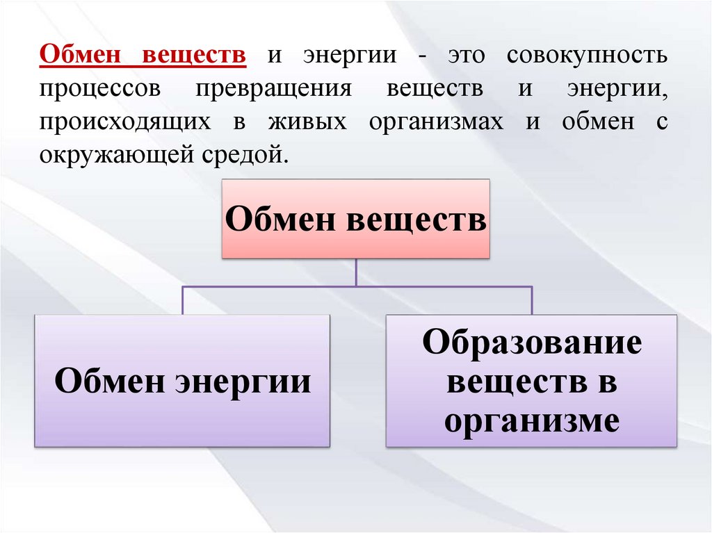 Обменные процессы. Обмен веществ. Обмен веществ и энергии. Обмен веществ и превращение энергии. Что такое обмен веществ кратко.