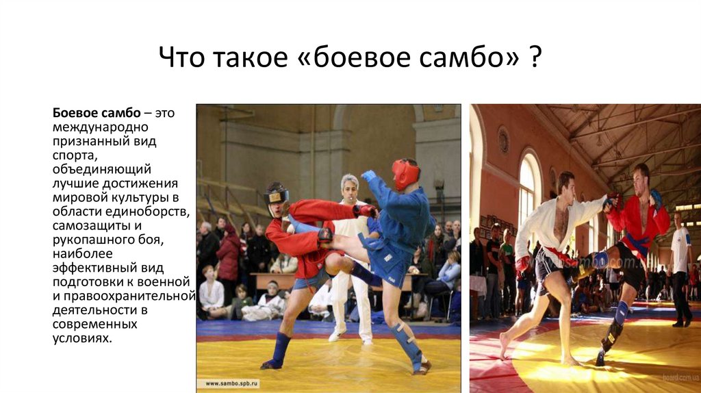 Почему самбо гордость российского спорта