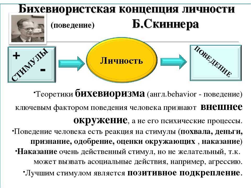 К какой теории относится следующая схема s стимул r реакция