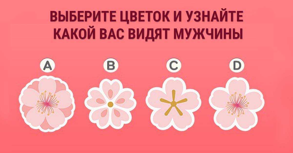 Психологические тесты онлайн бесплатно по картинкам бесплатно онлайн