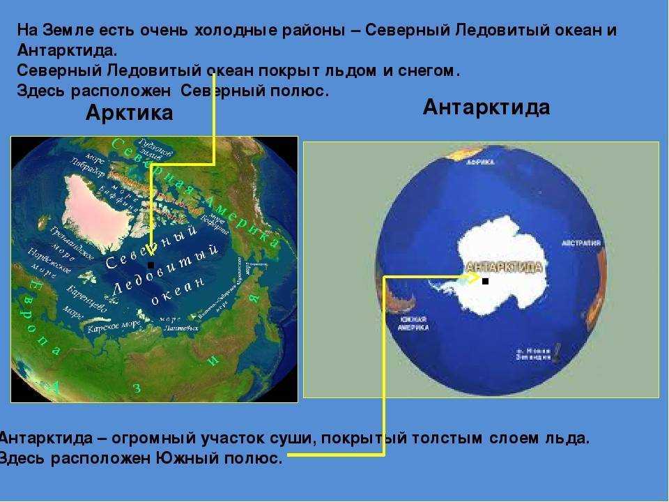 Северный полюс земли находится