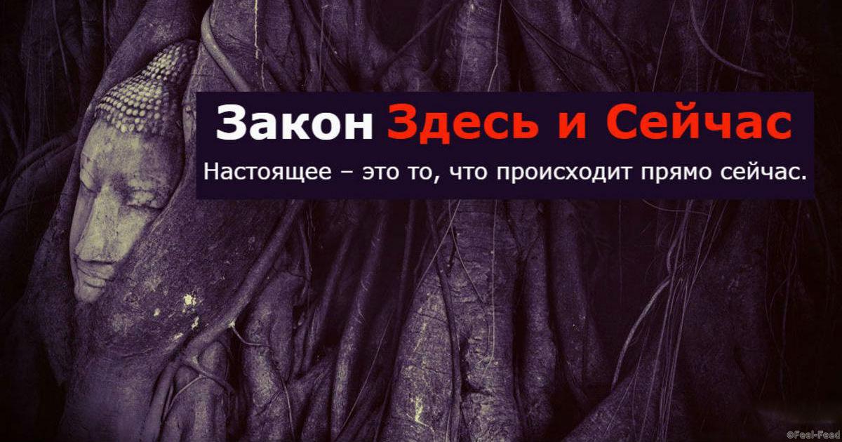 Здесь и сейчас закон. Здесь и сейчас. Настоящее здесь и сейчас. Находиться здесь и сейчас.