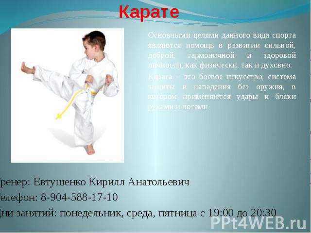 Проект по карате