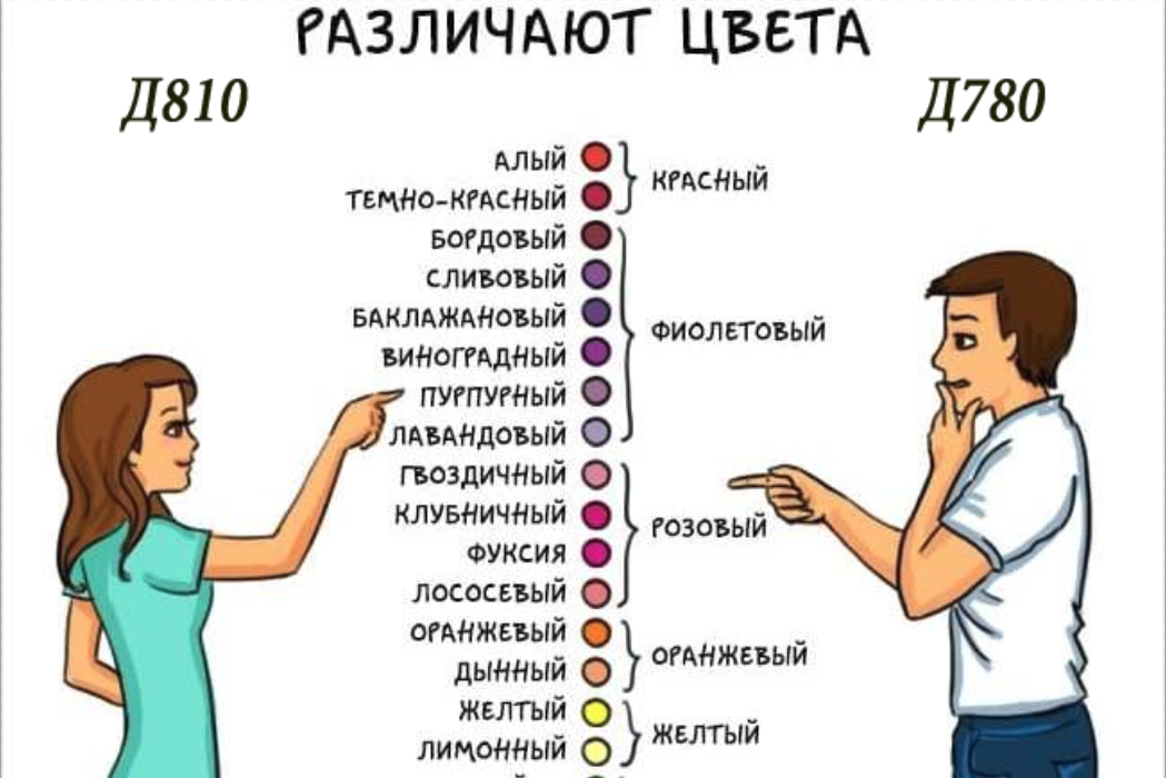 Какие цвета различают мужчины. Мужчина и женщина различают цвета. Как мужчины различают цвета. Восприятие цветов мужчинами и женщинами. Различие цветов у мужчин и женщин.