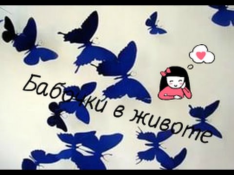 Бабочки в животе песня текст