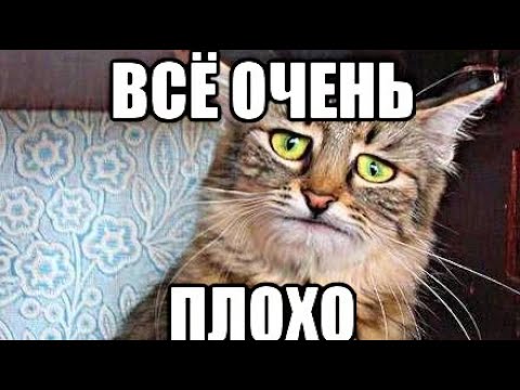 Ну штук. Плохо Мем. Все плохо Мем. Мне плохо Мем. Плохо очень плохо.