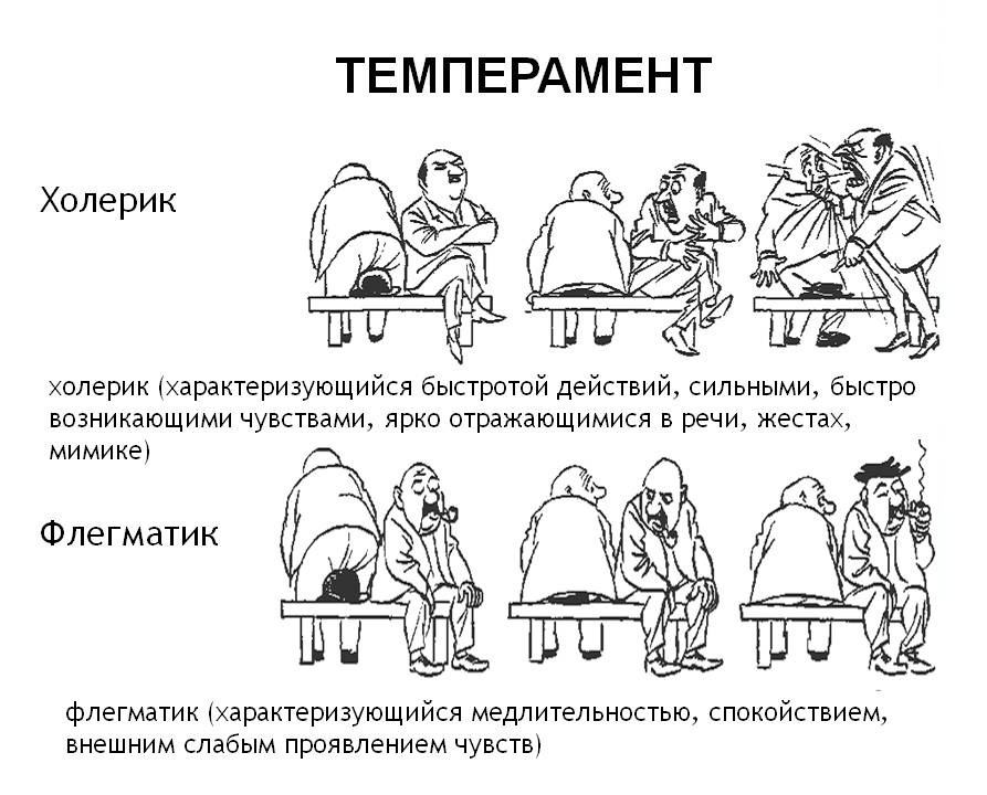 Типы характера в картинках