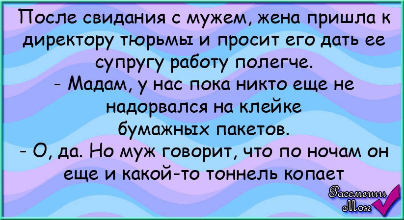 Почему после свидания. Анекдот приходит жена к мужу в тюрьму. Жена приходит к мужу в тюрьму. Жена приходит к мужу на свидание в тюрьму. Анекдот пришёл курсант к женщине.