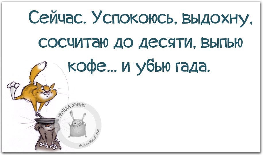 Мне нужно было успокоиться. Правда жизни цитаты. Цитаты про гадов. Картинки чтобы успокоиться. Успокойся демотиватор.