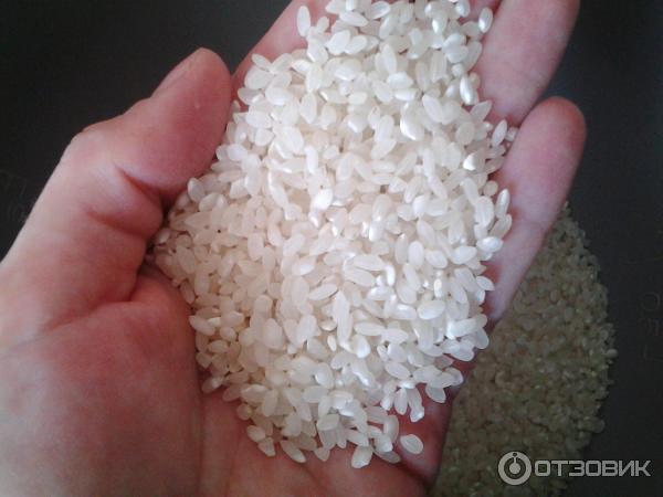 Рис каждый день. Рис круглозерный Органик.
