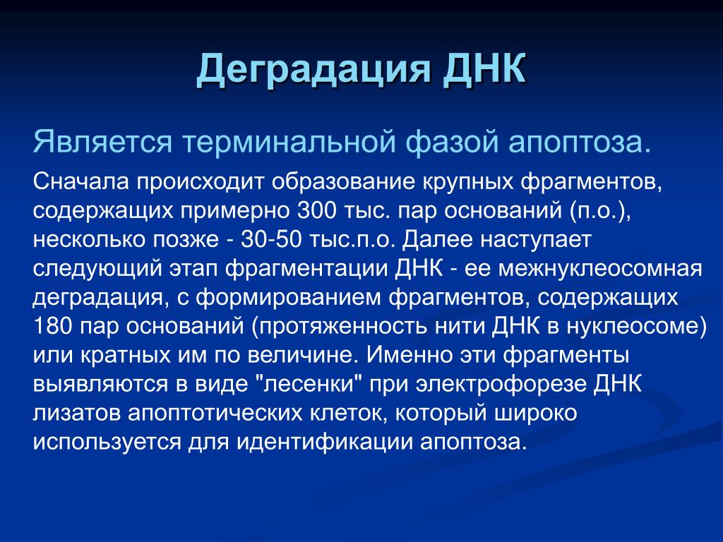 Деградация это. Деградация ДНК. Деградированная ДНК. Механизм деградации. Деградация ДНК эмбриона.