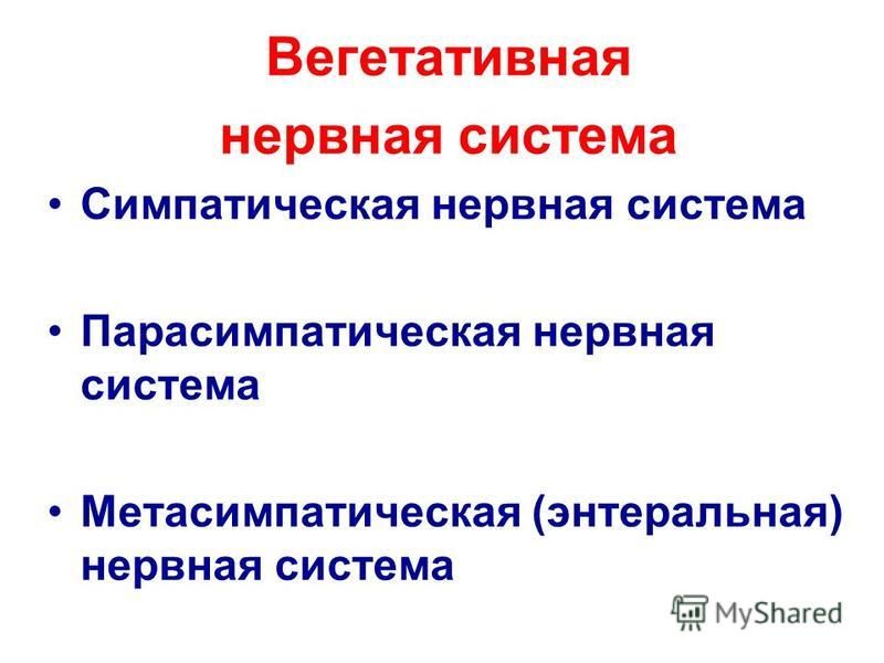 Вегетативные расстройства нервной системы форум. Вегетативная нервная система физиология. Патология вегетативной нервной системы.