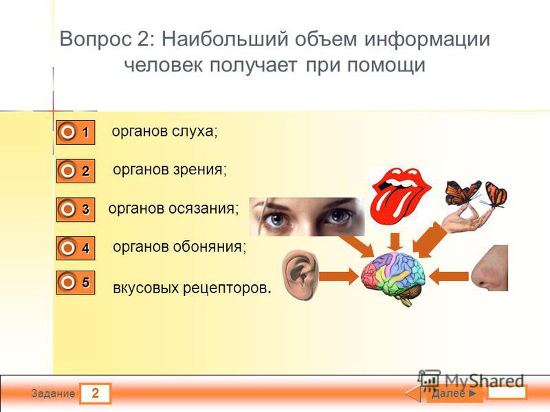 Объем информации человека