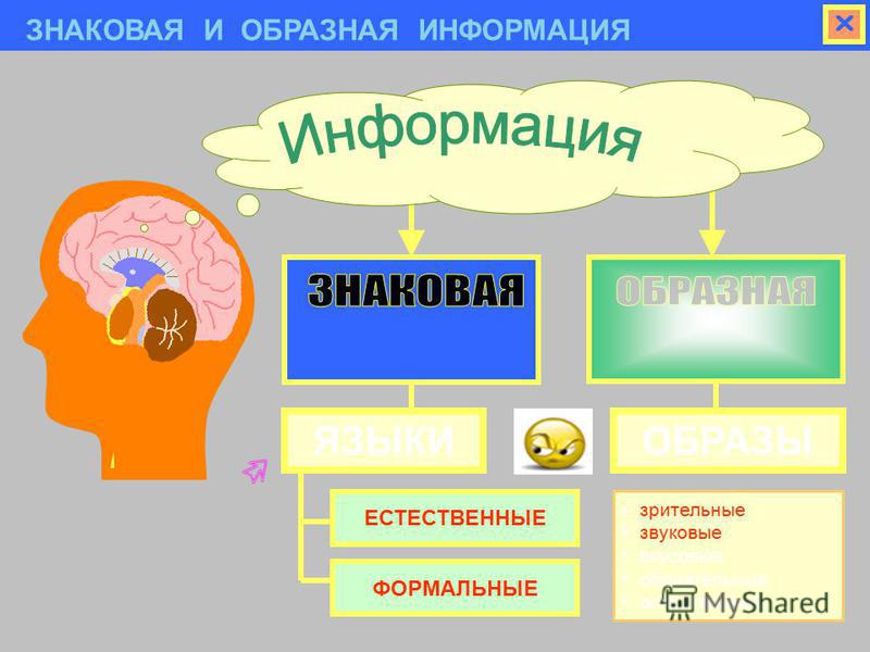 Восприятие информации человеком. Органы восприятия информации у человека. Восприятие информации через органы чувств. Схема восприятия информации. Информация знаковая и образная.