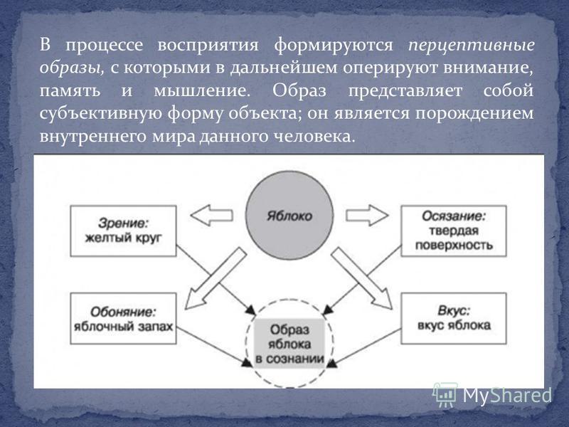 Процесс восприятия предполагает. Процесс восприятия схема. Перцептивность процессов восприятия,. Формирование образа в процессе ощущений в психологии.