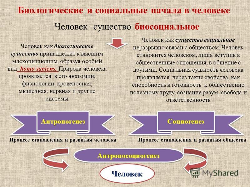 Общественное развитие человека. Биологические и социальные начала в человеке. Социальные начала в человеке. Биологическая и социальная природа человека. Примеры антропогенеза и социогенеза.