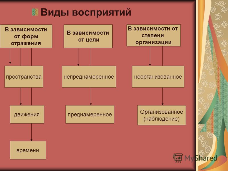 Виды восприятия в психологии