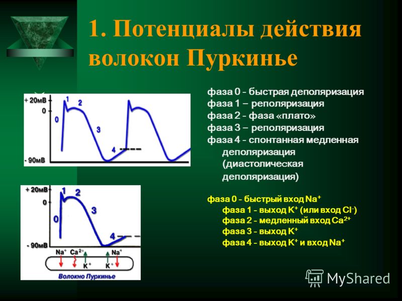 Потенциальный это