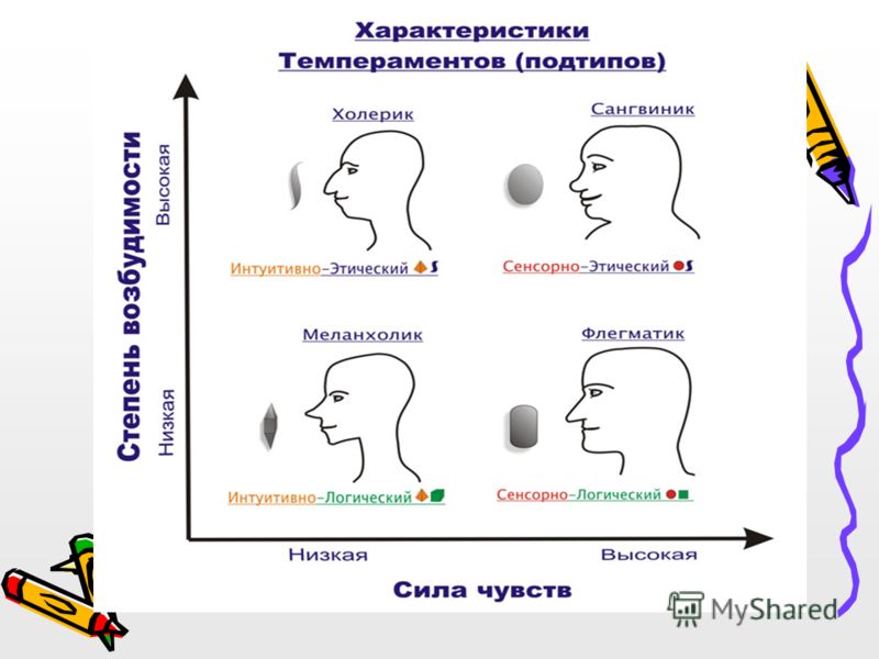 Определение темперамента презентация