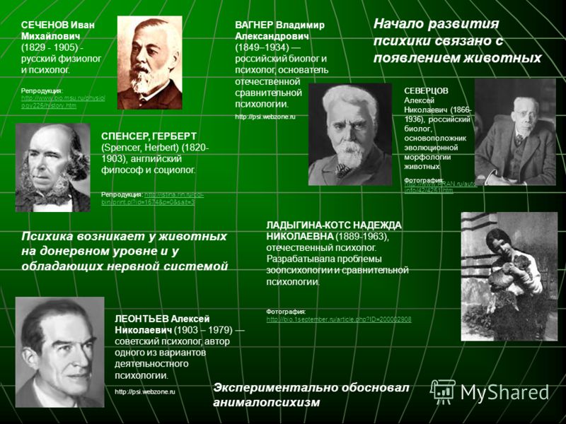 Ученые в психологии. Основатель психологии развития. Родоначальник психологии развития. Сравнительная психология ученые. Основатель сравнительной психологии.