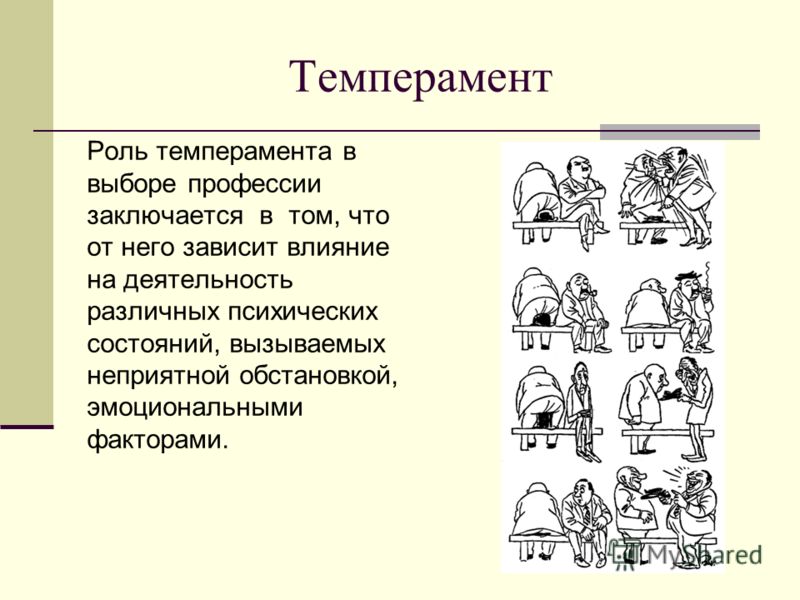 Какому типу темперамента соответствует приведенная ниже картинка и описание