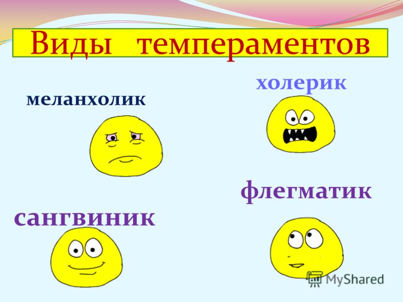 Типы темперамента холерик меланхолик. Тип темперамента сангвиник. Рисунок на тему темперамент. Холерик сангвиник флегматик меланхолик. Сангвиник меланхолик холерик флегматик типы темпераментов.